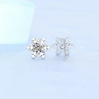 Round Zircon Silver Earrings