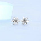 Round Zircon Silver Earrings