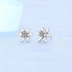 Round Zircon Silver Earrings
