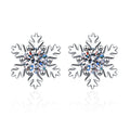 Round Zircon Silver Earrings